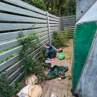 Majorsbruch, Visselövede