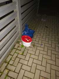 Majorsbruch, Visselövede