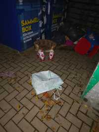 Majorsbruch, Visselövede