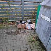 Majorsbruch, Visselövede