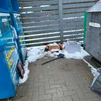 Majorsbruch, Visselövede